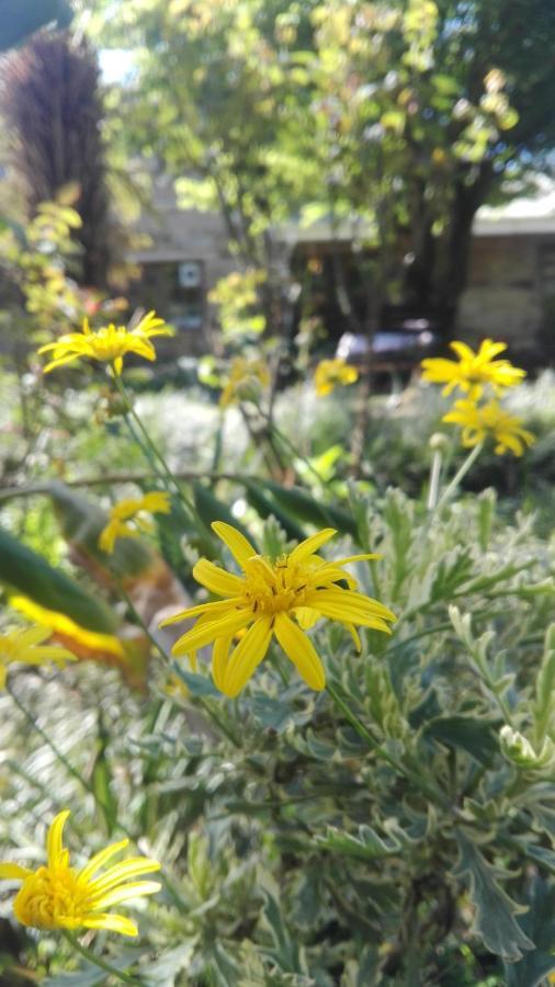 Country Lane Guesthouse Howick Εξωτερικό φωτογραφία