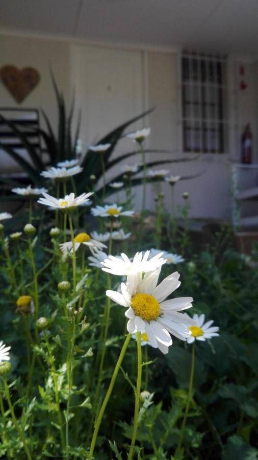 Country Lane Guesthouse Howick Εξωτερικό φωτογραφία
